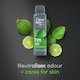 image 3 of DOVE Men+care advanced anti-perspirant spray extra fresh 150 ml