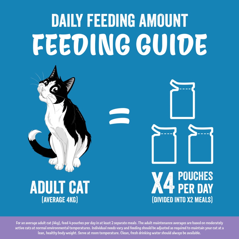 image 1 of FELIX Original Mixed Selection in Jelly Wet Cat Food 40x85g