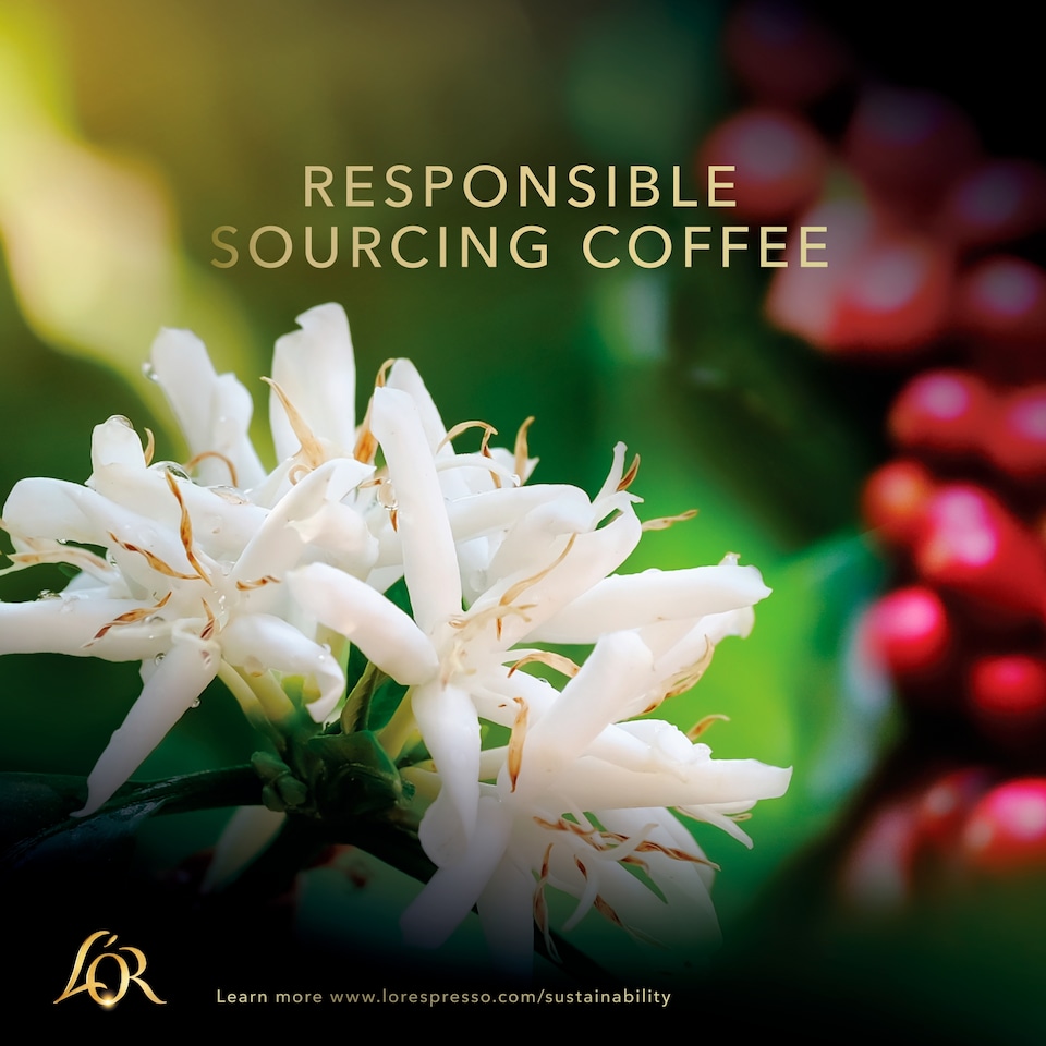image 1 of L'OR Classique Coffee Beans 200g