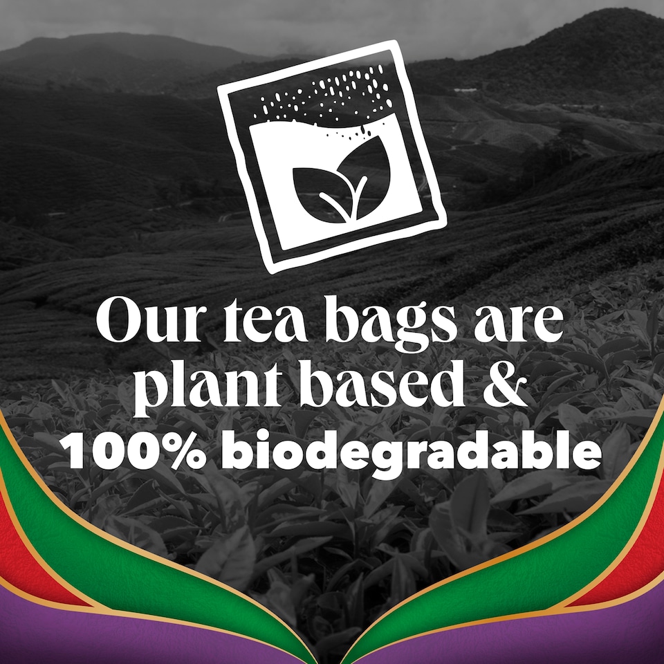 image 1 of PG Tips Special Blends Earl Grey 70 Tea Bags 175g