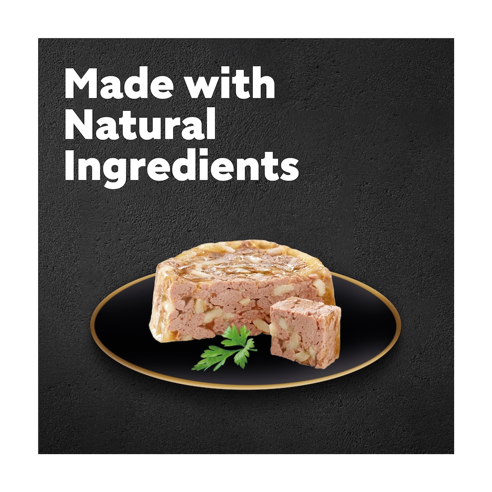 image 1 of Cesar Senior Wet Dog Food Trays Meat in Delicate Jelly 8 x 150g