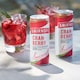 image 5 of Smirnoff Red Label Vodka and Cranberry Ready to Drink Premix 250ml