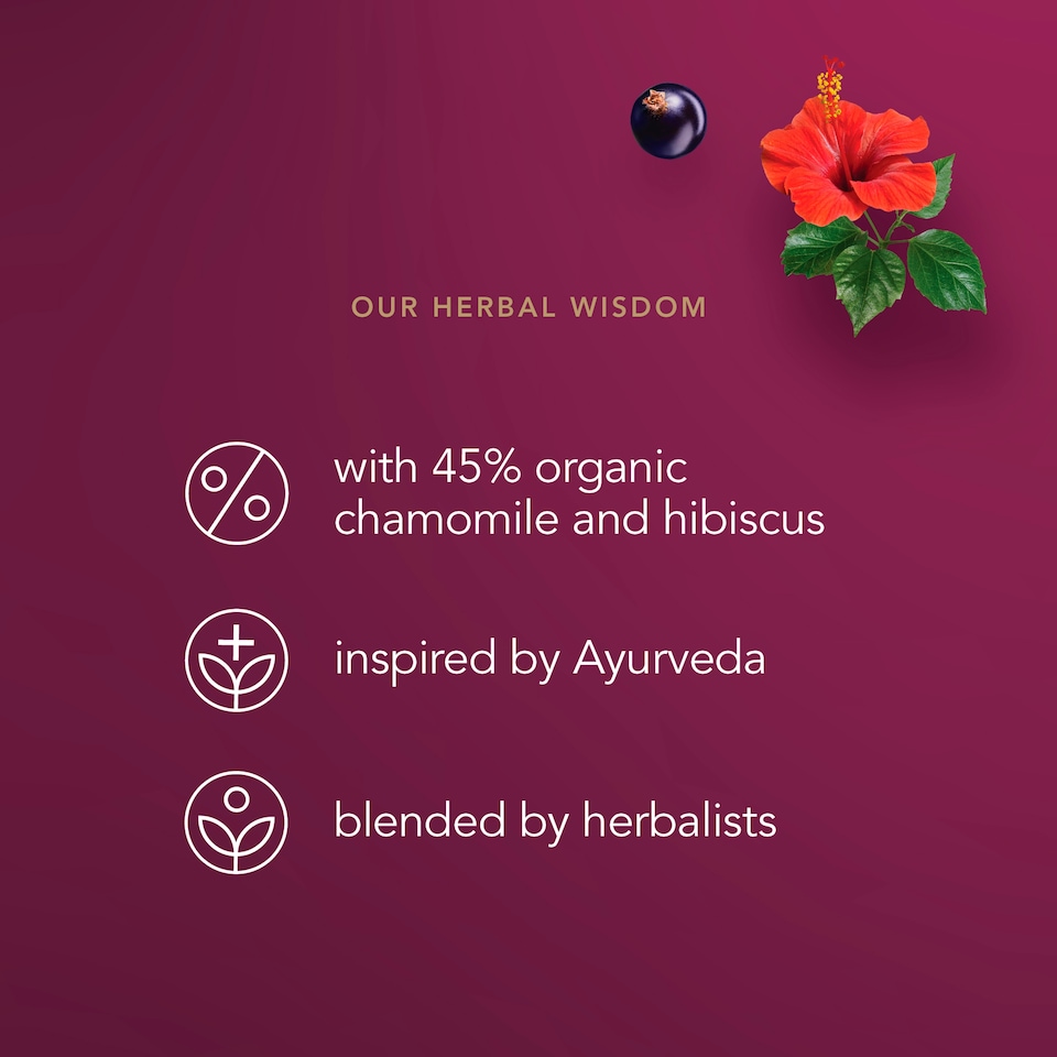 image 1 of Pukka Organic Night Time Berry 20 Herbal Tea Sachets 32g