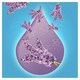 image 2 of Flash All Purpose Liquid Relax Lavender 1L