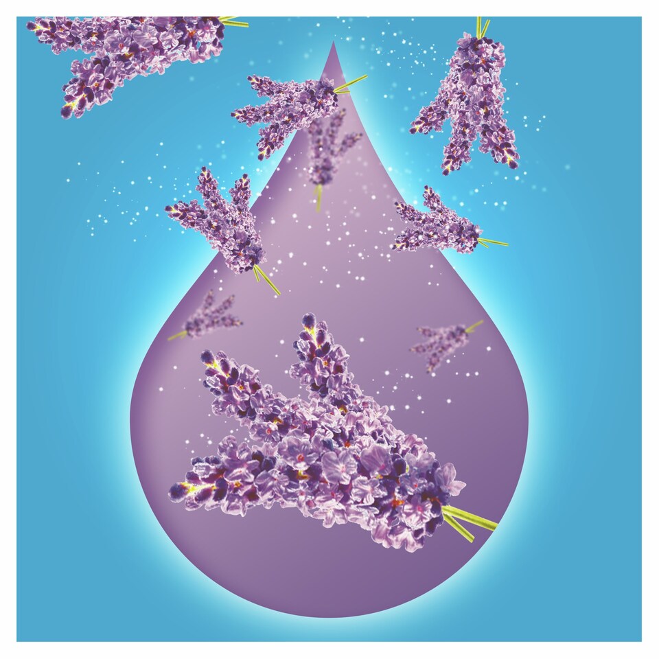 image 1 of Flash All Purpose Liquid Relax Lavender 1L