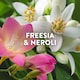 image 2 of Lenor Outdoorable Fabric Conditioner Portofino Freesia & Neroli 53w 742ml