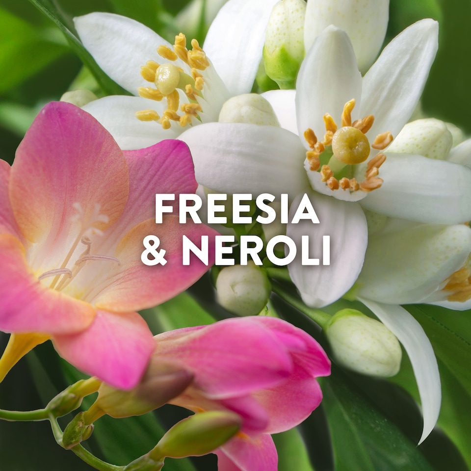 image 1 of Lenor Outdoorable Fabric Conditioner Portofino Freesia & Neroli 53w 742ml