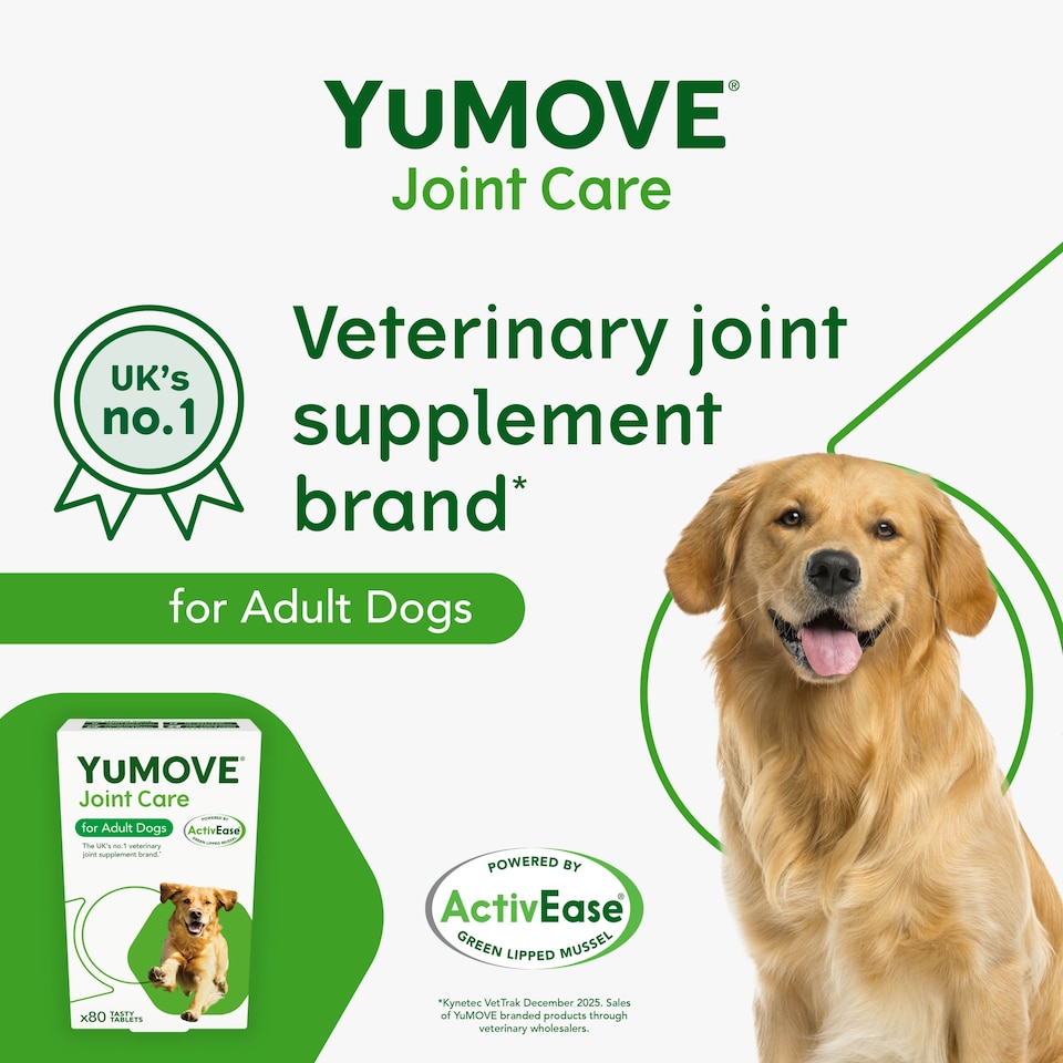 image 1 of YuMOVE Joint Care for Adult Dogs 80 Pack 70.5g