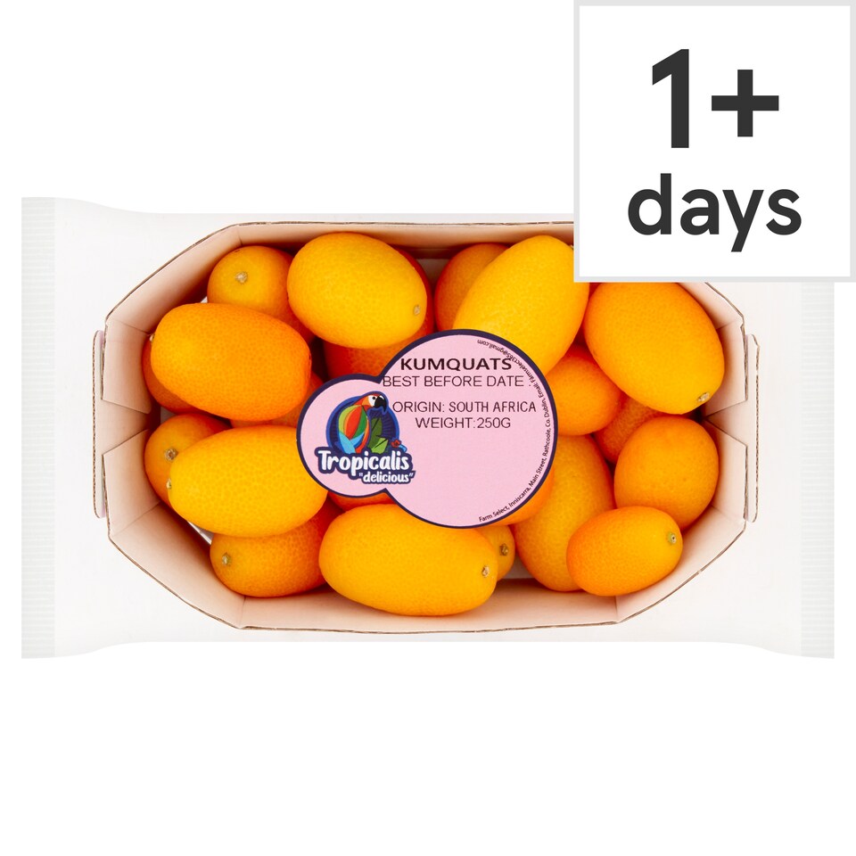 Farm Select Kumquats 250G