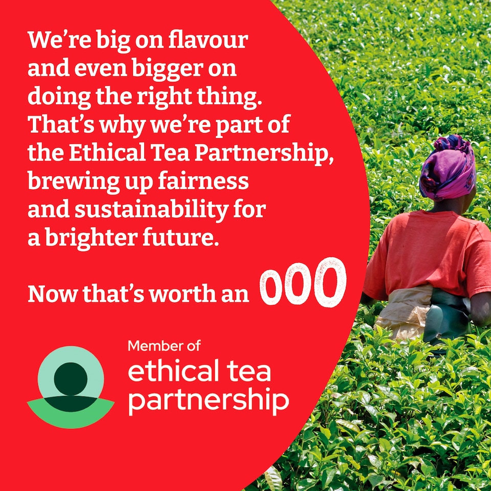 image 1 of TYPHOO 400 TEA BAGS 1250G