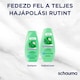 Schauma 7 gyógynövény sampon lelapulás ellen, zsíros hajra 250 ml  5. kép