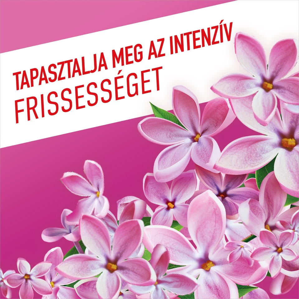 Ajax Fetes des Fleurs Orgona virág Lila általános tisztítószer 1000 ml  1. kép