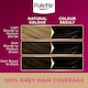 image 4 of Palette Deluxe 1-0 Deep Natural Black Oil Care permanent hair colour 