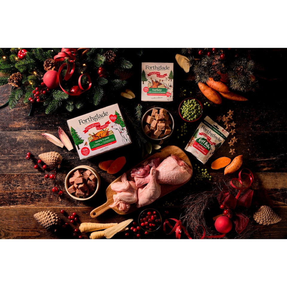 image 1 of Forthglade Christmas Soft Bite Turkey & Cranberry Dog Treats 90g