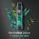 image 3 of Dove Men+Care Eucalyptus & Mint 72h Advanced Care Antiperspirant Deodorant 200ml