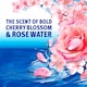 image 2 of Bold Extra Washing Liquid Pods Cherry Blossom & Rose Water 29 washes 672.8g