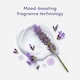 image 3 of Dove Body + Mind French Lavender & Oat Milk Bodywash Serum 350ml
