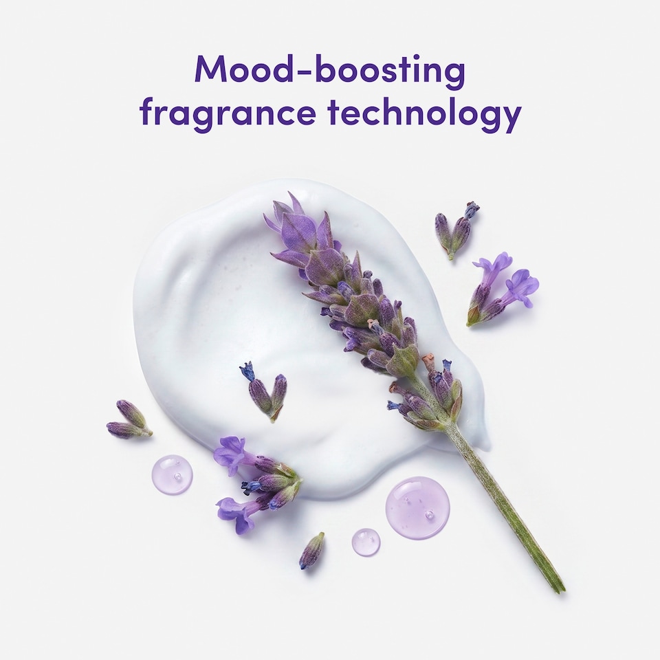 image 1 of Dove Body + Mind French Lavender & Oat Milk Bodywash Serum 350ml