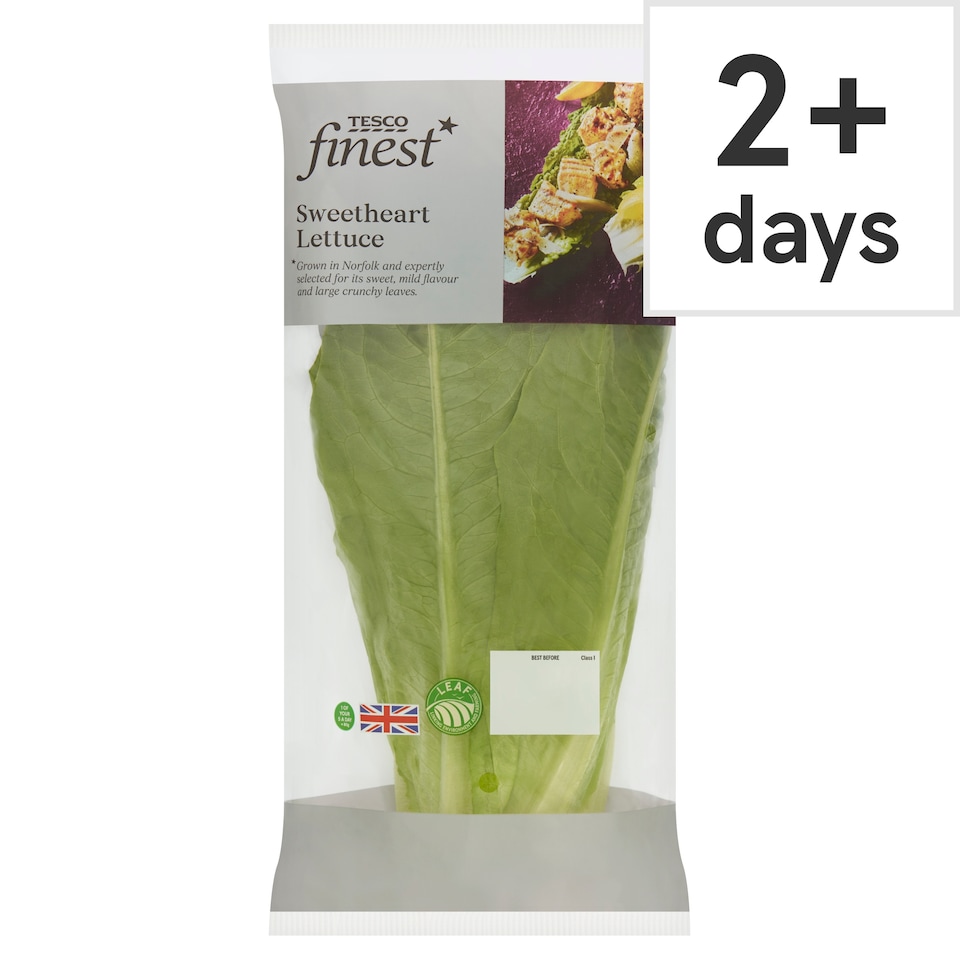 Tesco Finest Sweetheart Lettuce