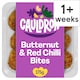 image 1 of Cauldron Nice & Spicy Butternut Squash Bites 175g