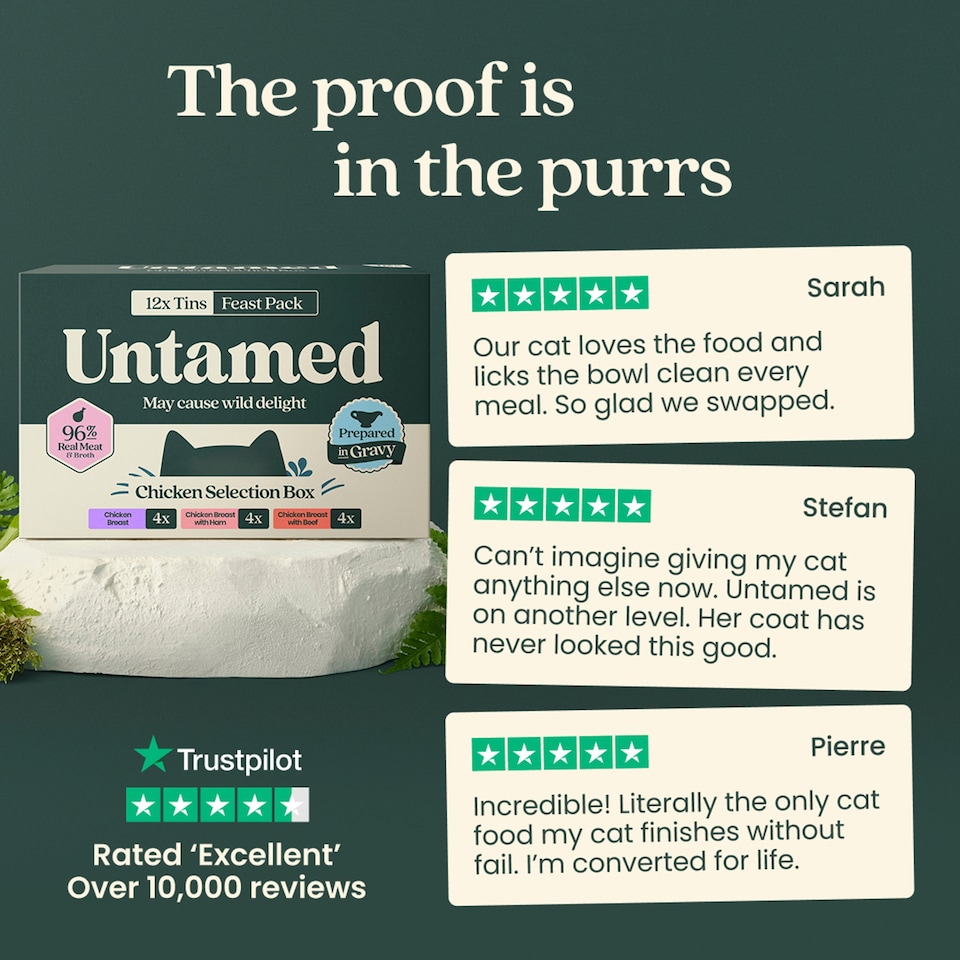 image 1 of Untamed Chicken Selection Box in Gravy Cat Food 12 x 75G 