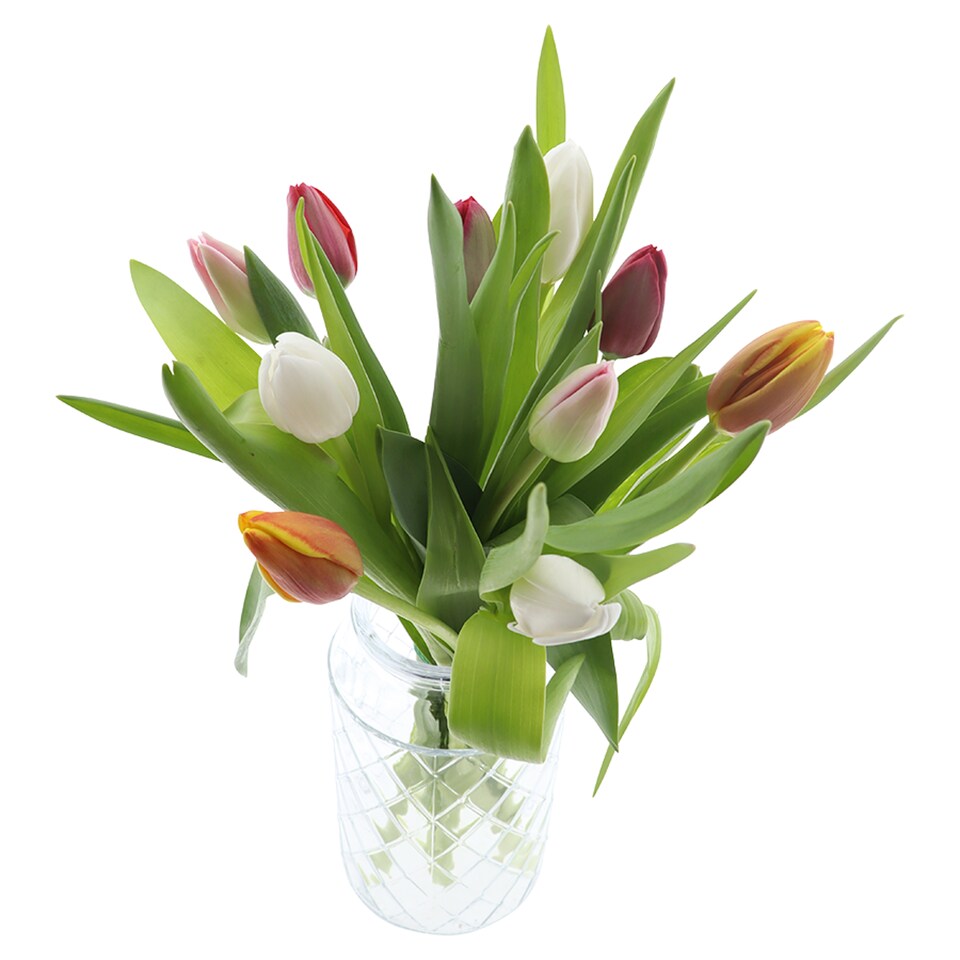 image 1 of Tesco Bouquet of Tulips 10 Stems