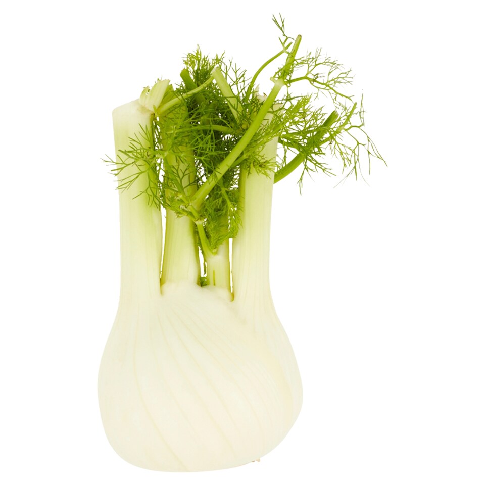 Tesco Fennel Each