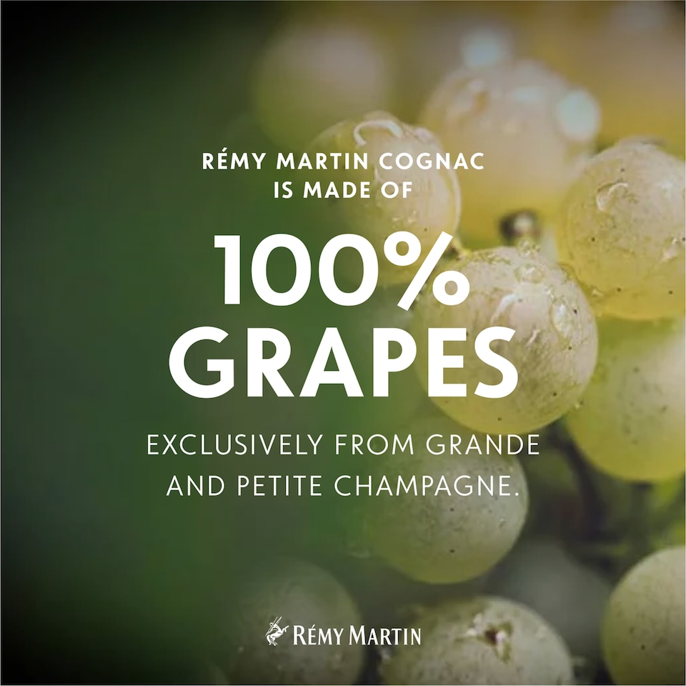 image 1 of Remy Martin V.S.O.P. Cognac 70Cl