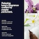 image 4 of The Lab Co Laundry Detergent Relaxing Cotton, Lavender & Jasmine Strips 64 pack