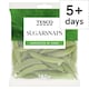 image 1 of Tesco Sugarsnap Peas 180g