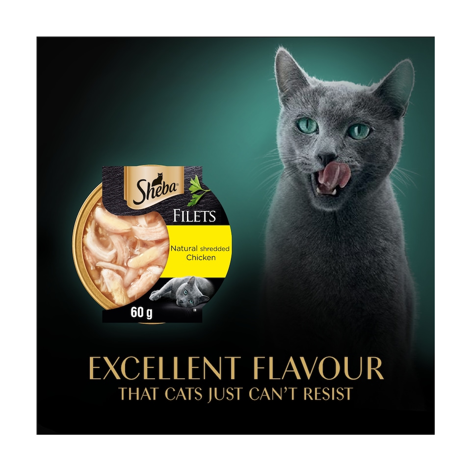 image 1 of Sheba Fillets Wet Cat Food Tray with Chicken in Gravy 60g