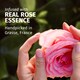 image 2 of Herbal Essences Petal Soft Rose Scent Conditioner 250ml