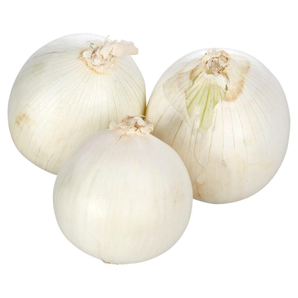 Cibule bílá
