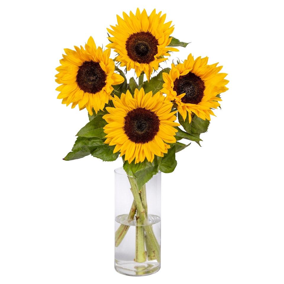 Sunflowers