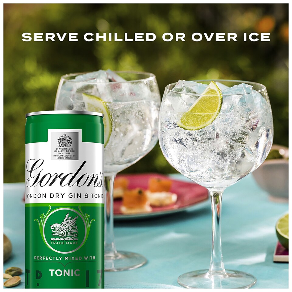 image 1 of Gordon's Gin & Tonic Can 5% Vol 10X250ml