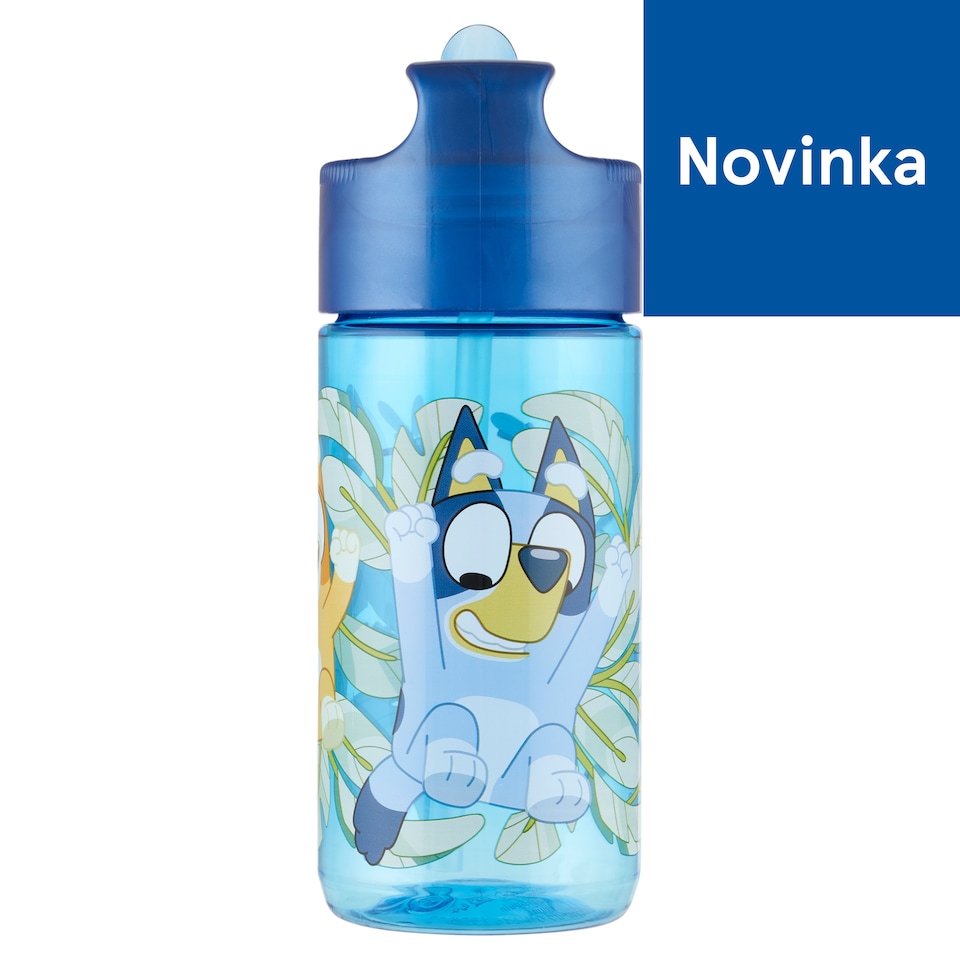 Stor Small Ecozen Bluey Hydro Bottle