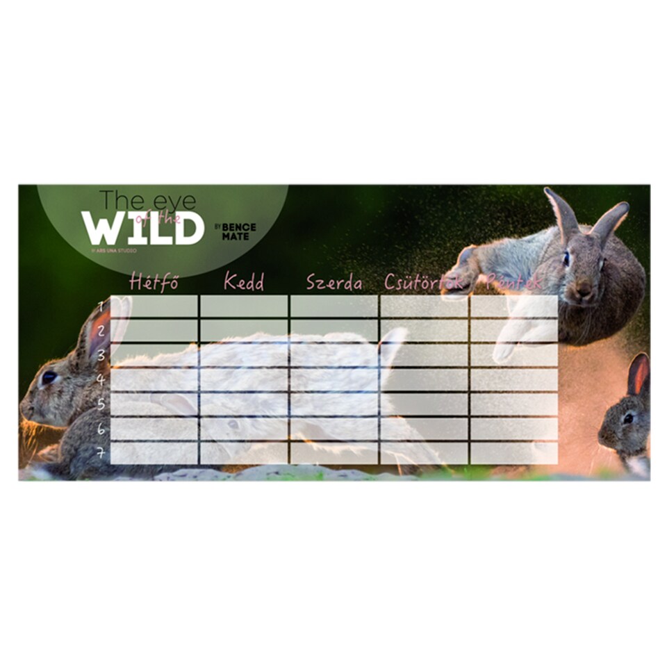 image 1 of Wild Life Moments Time Table