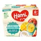 image 1 of HAMI Fruit Baby Food Apple Mango with Coconut Milk 4x95g