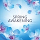 image 4 of Lenor In-Wash Scent Booster Spring Awakening 280g