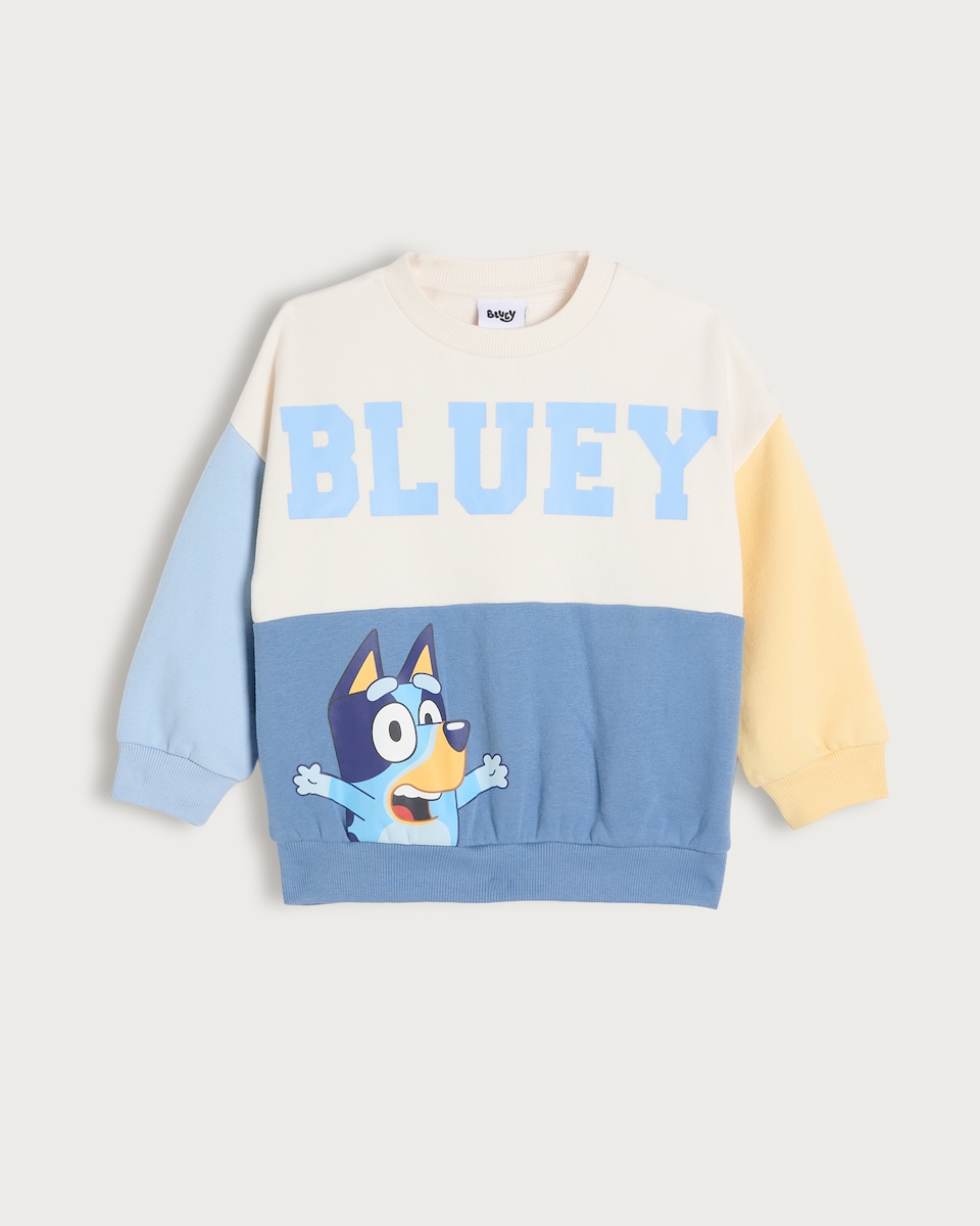 image 1 of Bluey and Bingo Cotton Rich Colour Block Sweatshirt in Multi