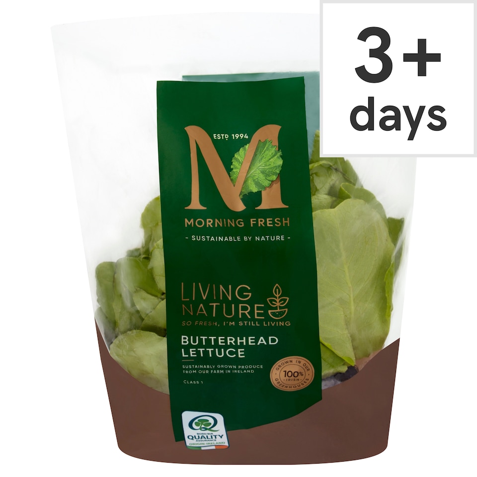 Morning Fresh Living Nature Butterhead Lettuce