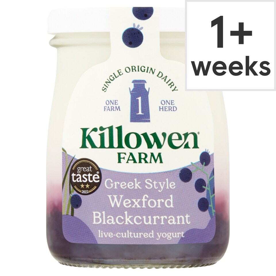Killowen Farmyog Wexford Blackcurrant Creamy Handmade 140G
