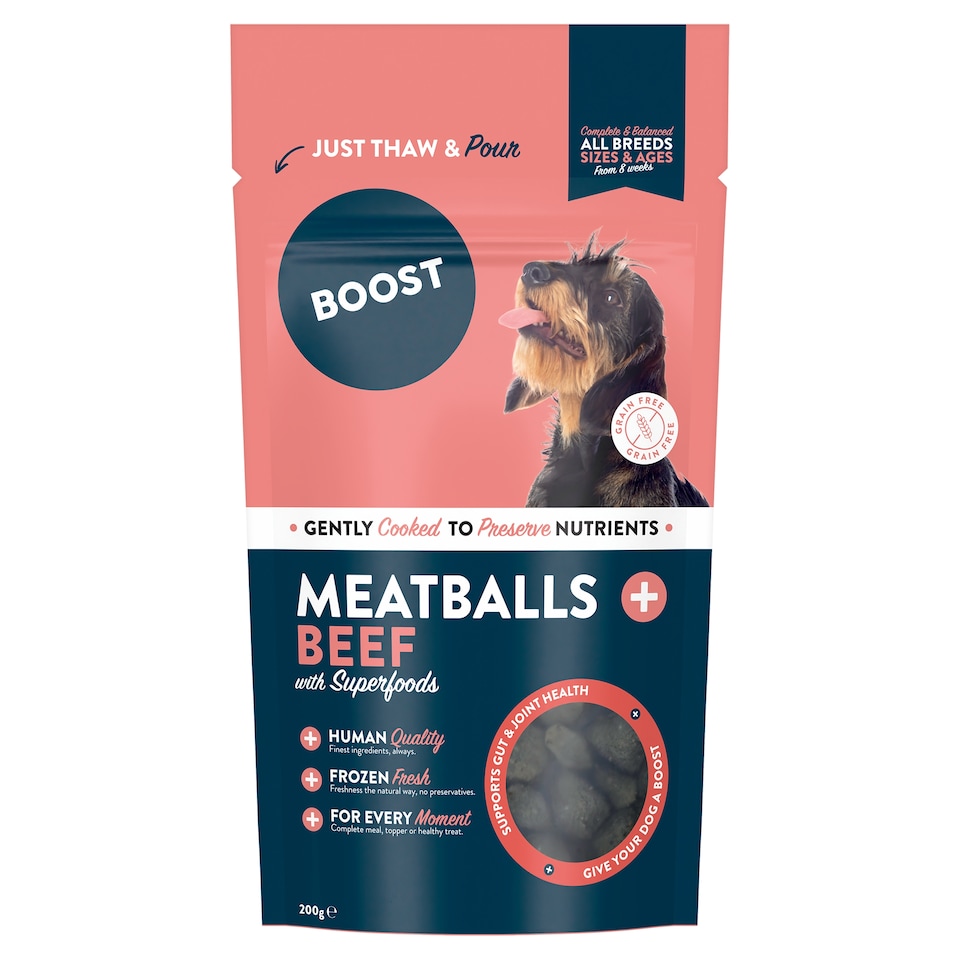 BOOST Beef Meatballs with Superfoods For Dogs 200g