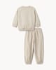 image 4 of F&F Boys 2-Piece Cotton Rich Dinosaur Sweatshirt and Joggers Set in Stone