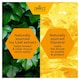 image 5 of Zarbee's 12+ Years Adult Cough & Sore Throat Syrup 150ml