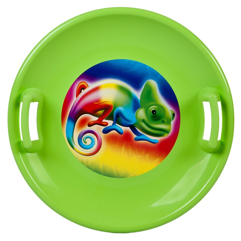 image 1 of Disc Shaped Snow Slide