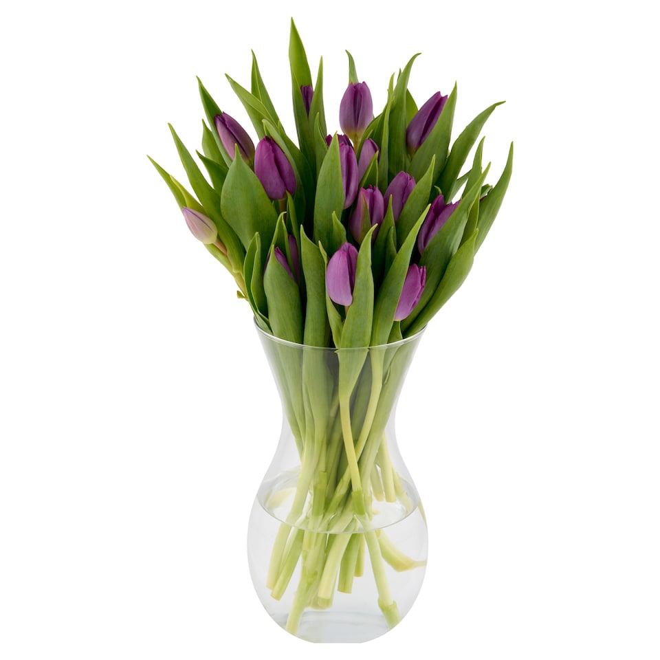 Kytice tulipány 23 stonků