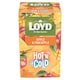 obrázok 2 z Loyd Hot'n Cold bylinný-ovocný čaj s príchuťou jabĺk a ananásu 15 x 2 g (30 g)