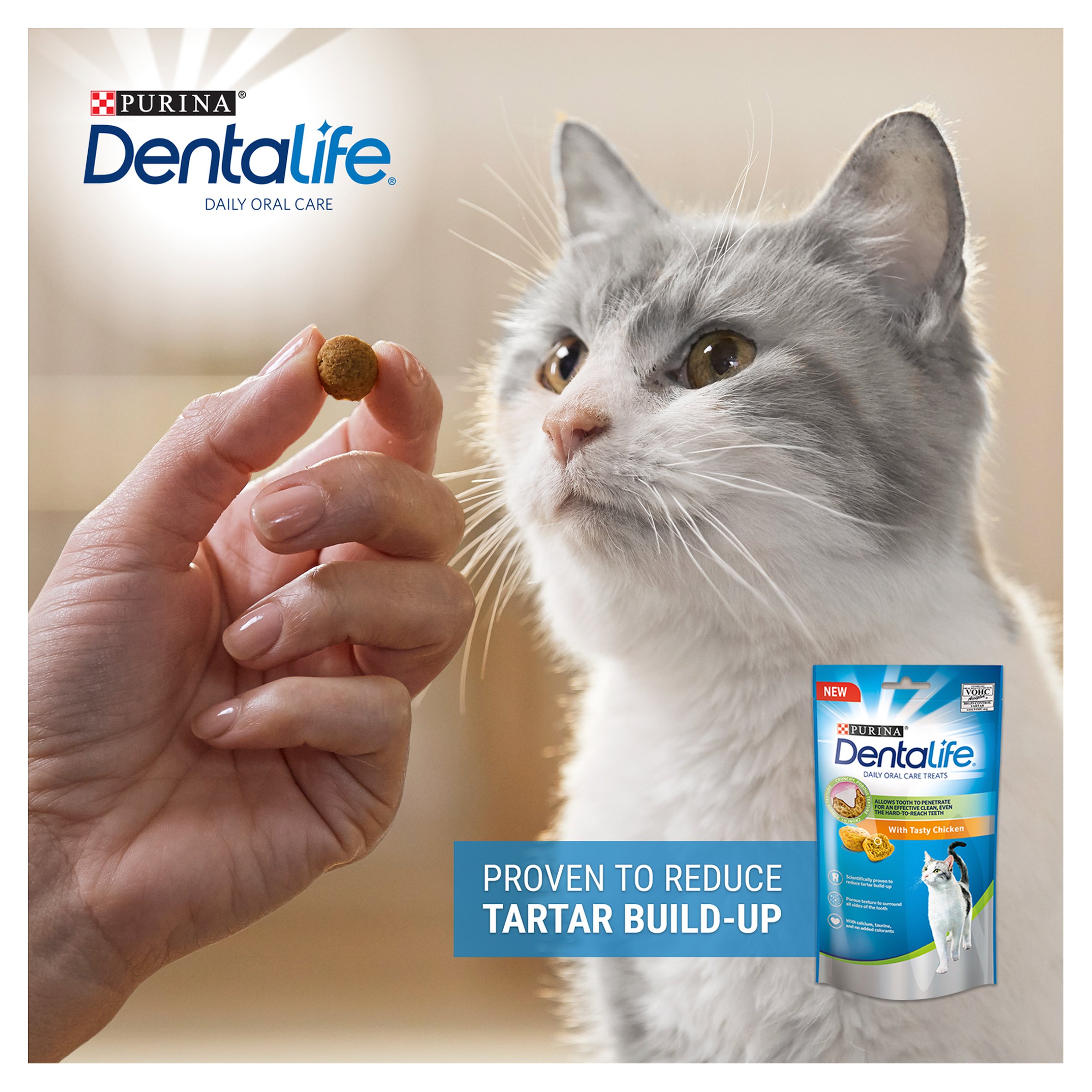 dentalife cat