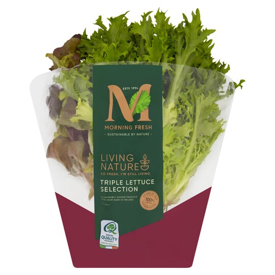 Morning Fresh Living Nature Triple Lettuce Selection Tesco Groceries